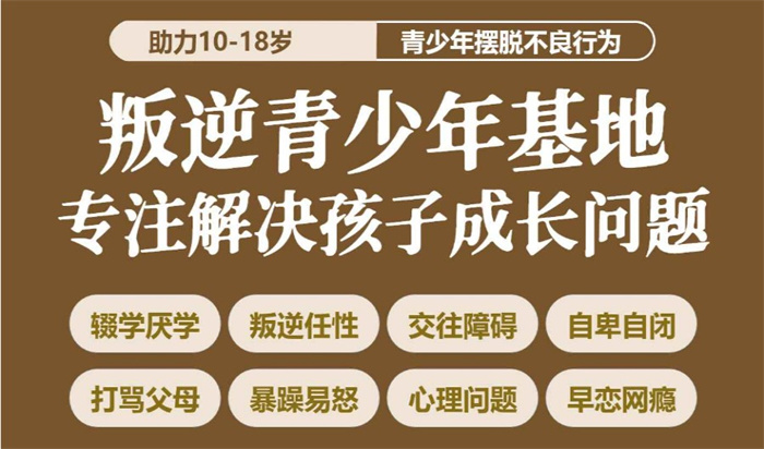 荊州十大專門矯正青少年叛逆厭學網癮教育學校名單一覽-圖3
