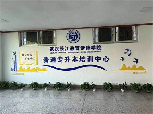 武漢市2025年統(tǒng)招全日制專升本培訓(xùn)機(jī)構(gòu)排行榜推薦如下-圖2