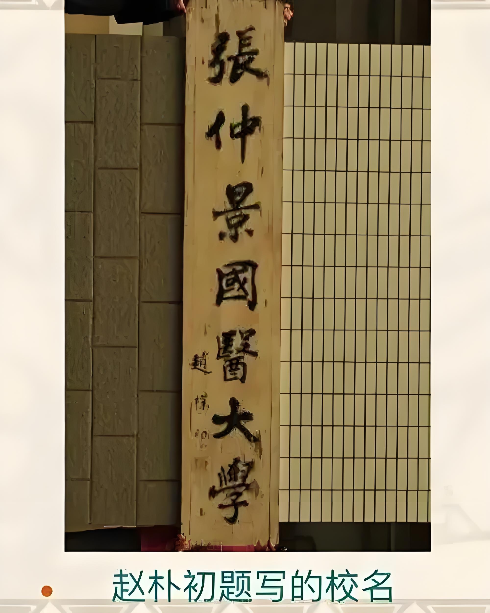 張仲景國醫(yī)學(xué)院分數(shù)線-圖1
