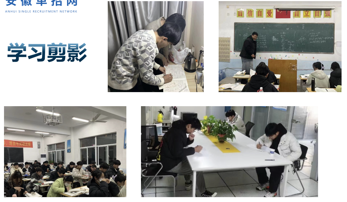2025年安徽分類考試-安徽單招集訓新選擇-系統培訓，全面提升-圖2