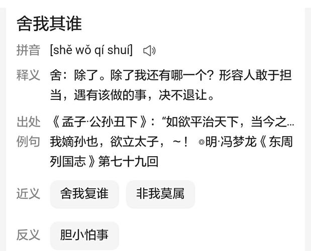 舍我其誰的意思-圖1