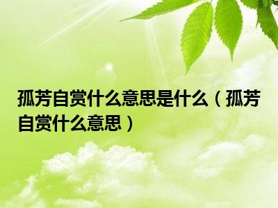 孤芳自賞什么意思-圖1