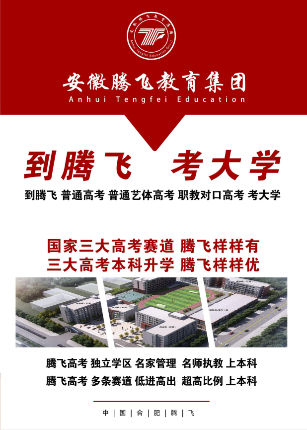 2025年合肥騰飛學(xué)校藝術(shù)類升學(xué)率專項提升方案：破解文化課短板，直擊本科-圖1