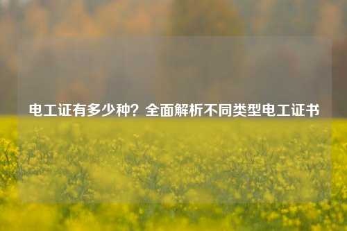 電工證有多少種？全面解析不同類型電工證書-圖1