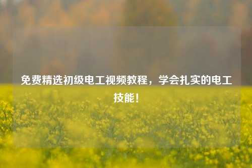 免費精選初級電工視頻教程，學會扎實的電工技能！-圖1