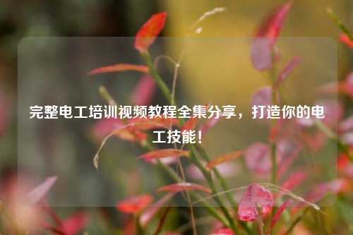 完整電工培訓(xùn)視頻教程全集分享，打造你的電工技能！-圖1