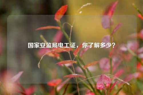 國家安監局電工證，你了解多少？-圖1