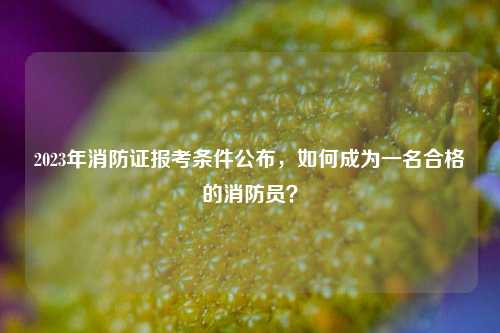 2023年消防證報考條件公布，如何成為一名合格的消防員？-圖1