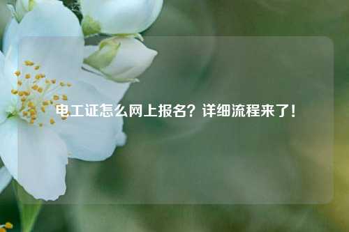 電工證怎么網(wǎng)上報(bào)名？詳細(xì)流程來(lái)了！-圖1