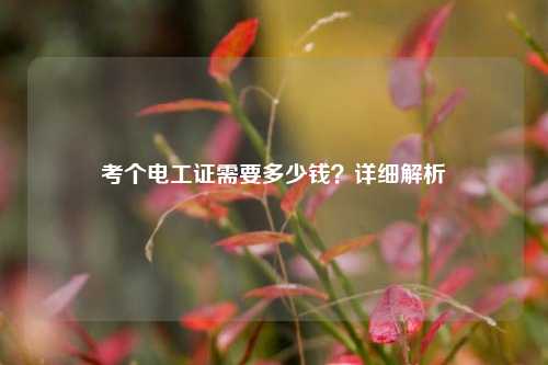 考個電工證需要多少錢？詳細解析-圖1