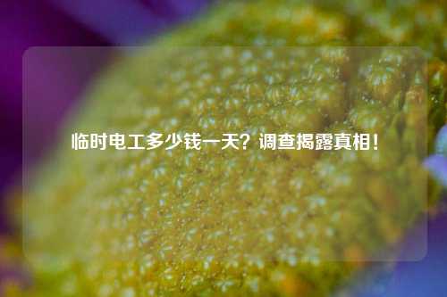 臨時(shí)電工多少錢一天？調(diào)查揭露真相！-圖1