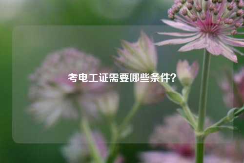 考電工證需要哪些條件？-圖1