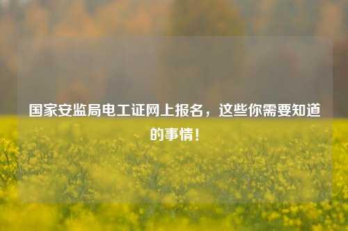 國家安監(jiān)局電工證網上報名，這些你需要知道的事情！-圖1
