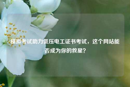 模擬考試助力低壓電工證書考試，這個(gè)網(wǎng)站能否成為你的救星？-圖1