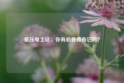 低壓電工證：你有必要擁有它嗎？-圖1