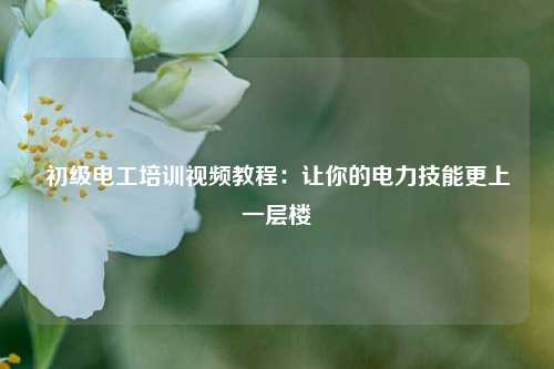 初級(jí)電工培訓(xùn)視頻教程：讓你的電力技能更上一層樓-圖1