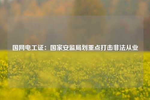 國網電工證：國家安監局劃重點打擊非法從業-圖1
