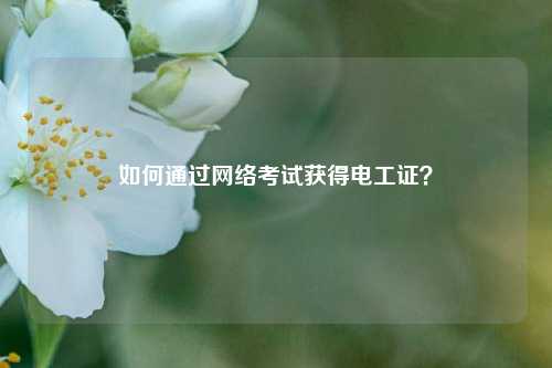 如何通過(guò)網(wǎng)絡(luò)考試獲得電工證？-圖1