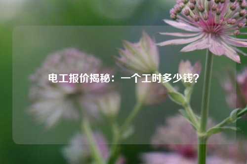 電工報(bào)價(jià)揭秘：一個(gè)工時(shí)多少錢？-圖1