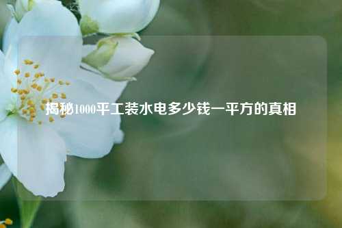 揭秘1000平工裝水電多少錢一平方的真相-圖1