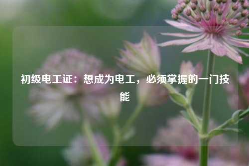 初級電工證：想成為電工，必須掌握的一門技能-圖1