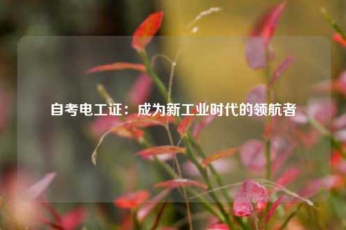 自考電工證：成為新工業(yè)時代的領(lǐng)航者-圖1