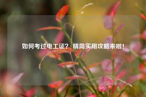 如何考過(guò)電工證？ 精簡(jiǎn)實(shí)用攻略來(lái)啦！-圖1