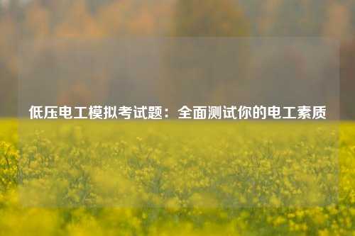 低壓電工模擬考試題：全面測試你的電工素質-圖1