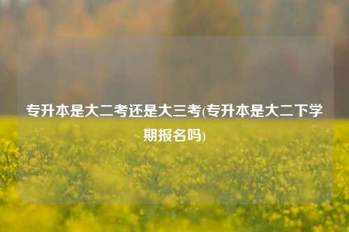 專升本是大二考還是大三考(專升本是大二下學期報名嗎)-圖1