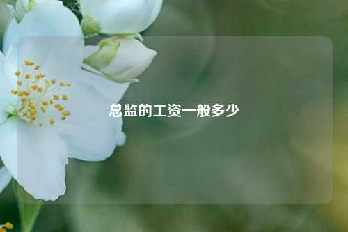 總監(jiān)的工資一般多少-圖1