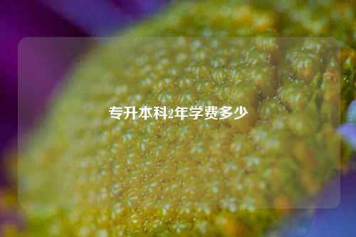 專升本科2年學費大概要花多少-圖1