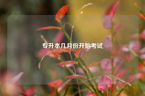 距離2025專升本還有多少時(shí)間-圖1