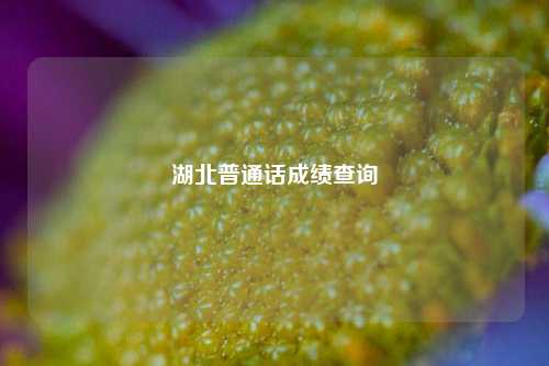 湖北普通話成績查詢-圖1
