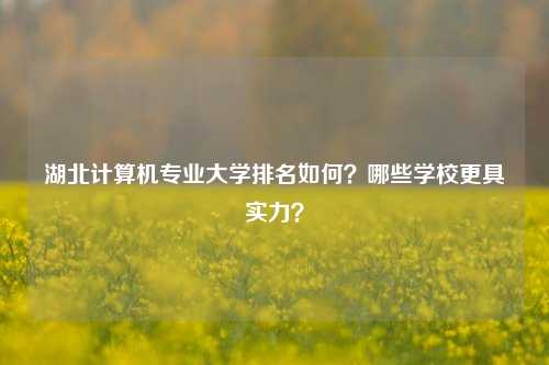 湖北計算機專業(yè)大學(xué)排名如何？哪些學(xué)校更具實力？-圖1